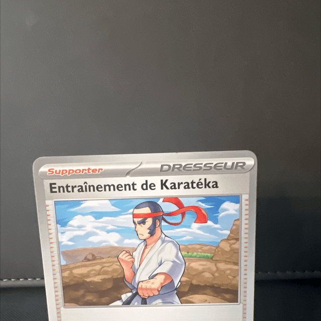 Entraînement de Karatéka 099/131