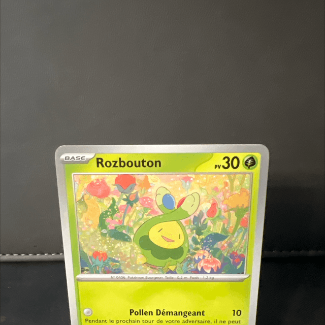 Rozbouton 004/131 