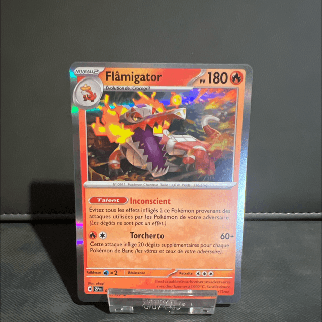Flâmigator 031/191