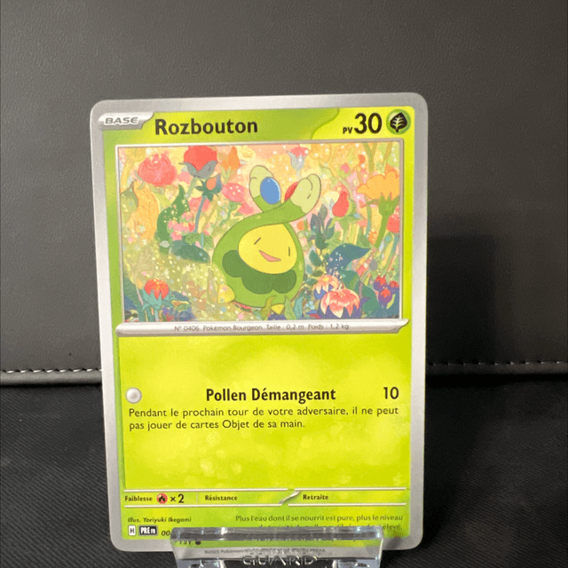 Rozbouton 004/131 